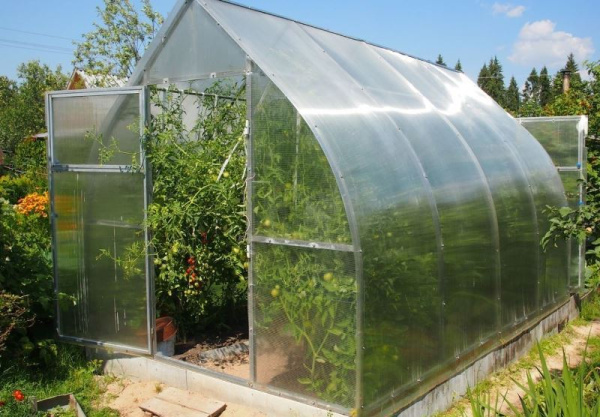 Теплица "ГАРАНТ-КАПЕЛЬКА"